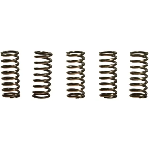 Kupplungsfedern verstärkt EBC CSK101