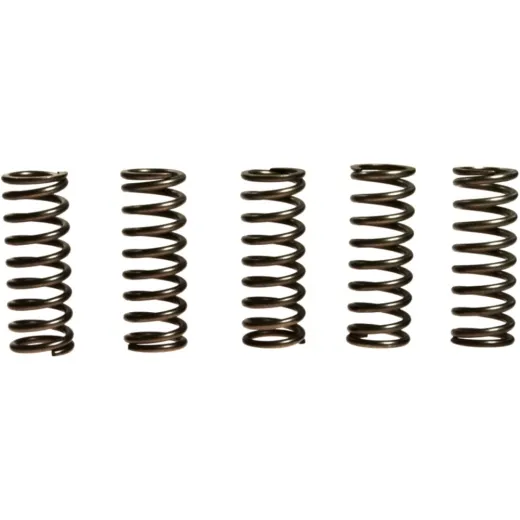 Kupplungsfedern verstärkt EBC CSK112