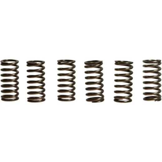 Clutch spring kit (6) CSK111