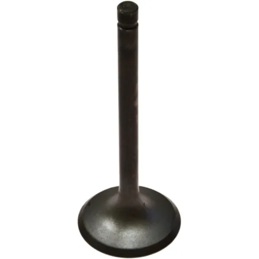 Intake valve 68011050