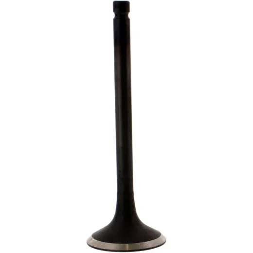 Valve exhaust 2824871