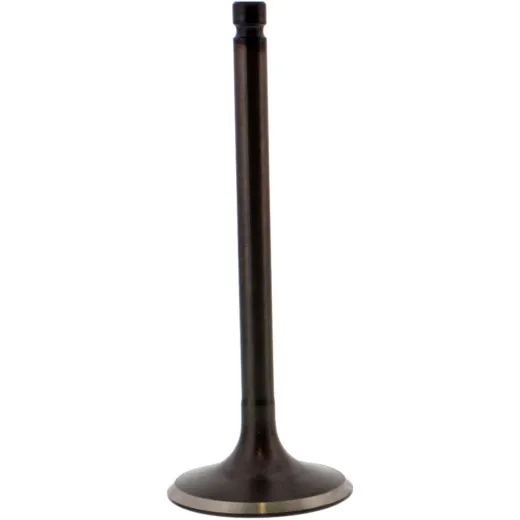 Valve inlet 2824872
