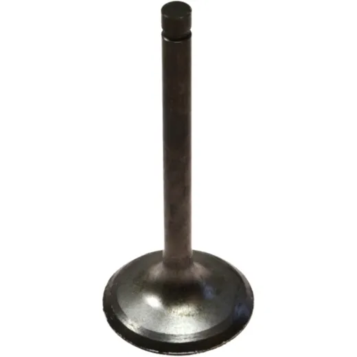 Intake valve 68021020