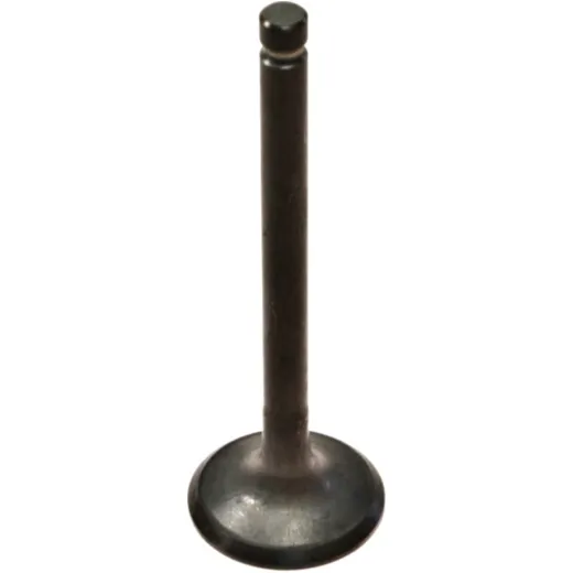 Intake valve 68021070