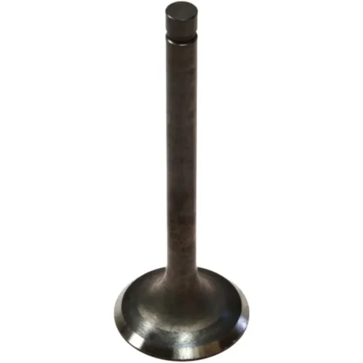 Exhaust valve 68021061