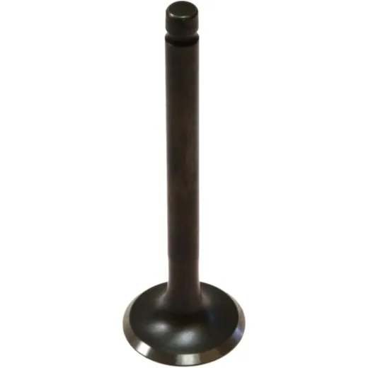Exhaust valve