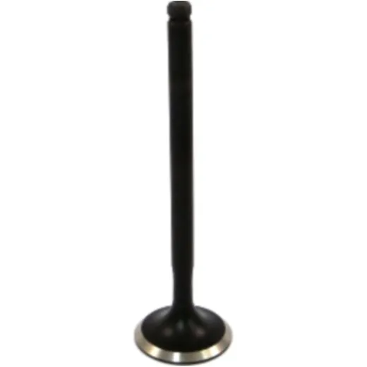 Auslassventil JMP BC50EK0001A