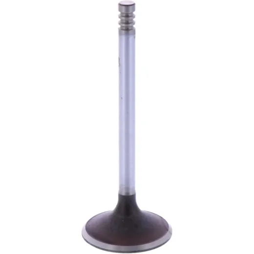 Intake valve 1134092