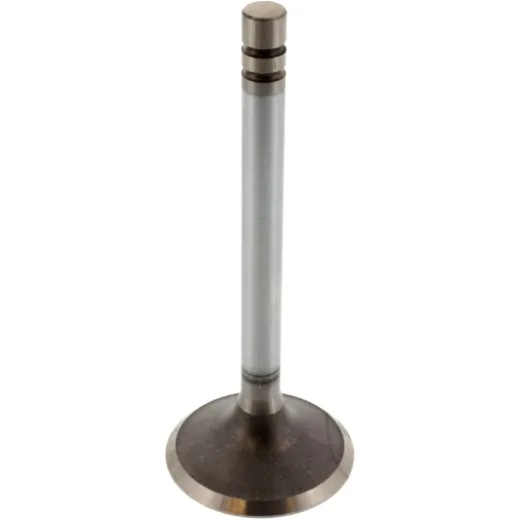 Intake valve 1134214