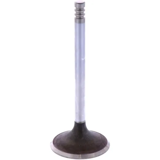 Intake valve 1134903