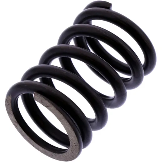 Vent spring