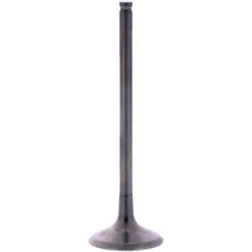 Exhaust valve titanium prox 2843471