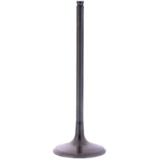 Intake valve ti prox 2843472