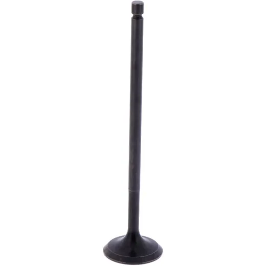 Intake valve (orig spare part) 1009406