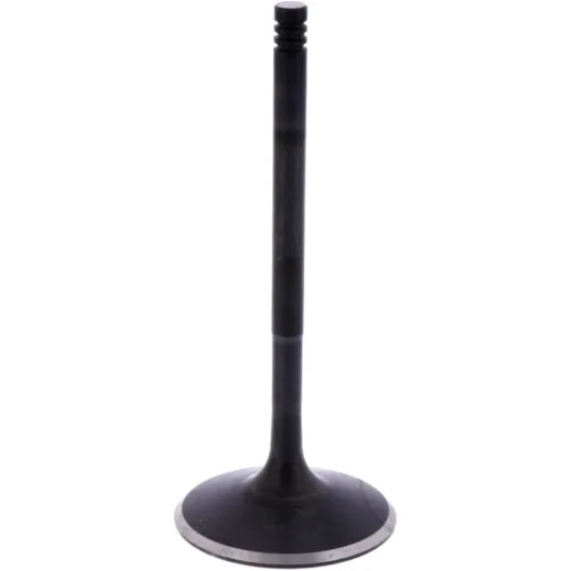 Intake valve (orig spare part) 1009416