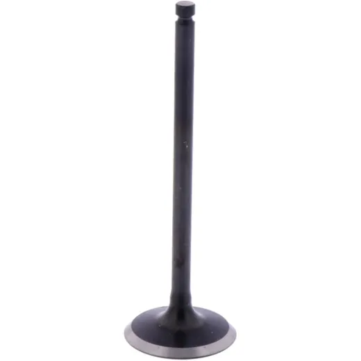 Intake valve (orig spare part) 1009422