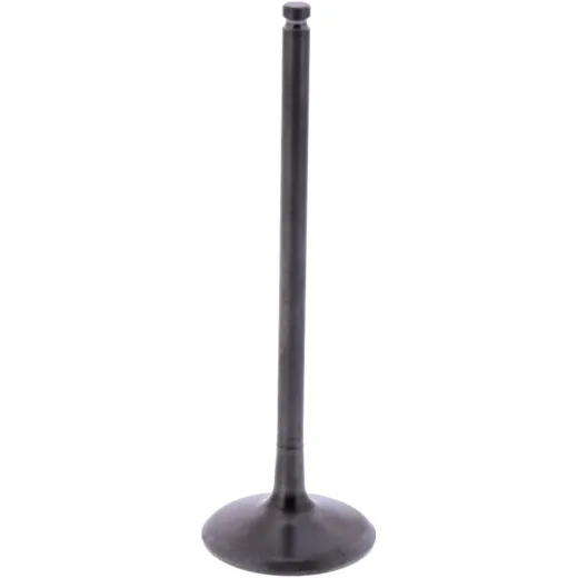 Intake valve (orig spare part) 1009423