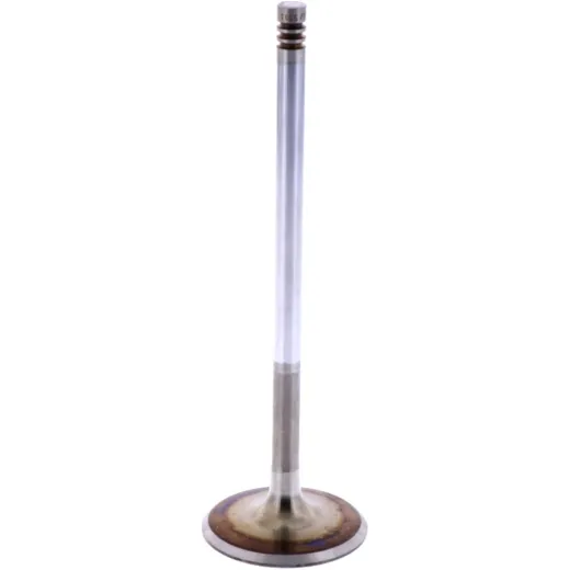 Intake valve (orig spare part) 1009511