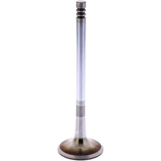 Intake valve (orig spare part) 1009517