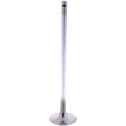 Intake valve (orig spare part) 1009523