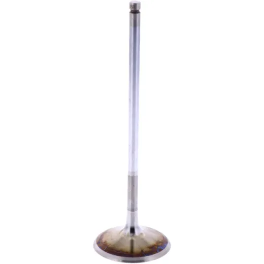 Intake valve (orig spare part) 1009528