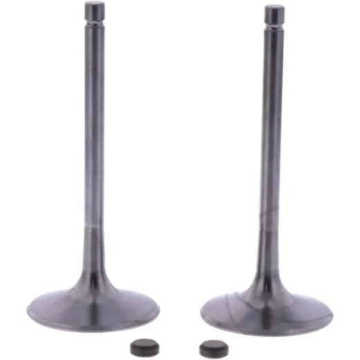 Intake valve kit (orig spare part)