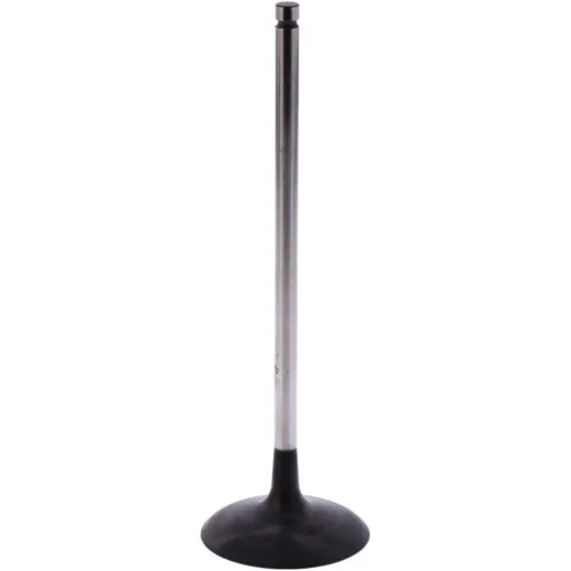 Intake valve (orig spare part) 1009533