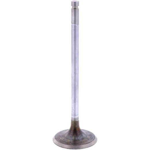 Intake valve (orig spare part) 1009538