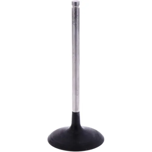 Intake valve (orig spare part) 1009540