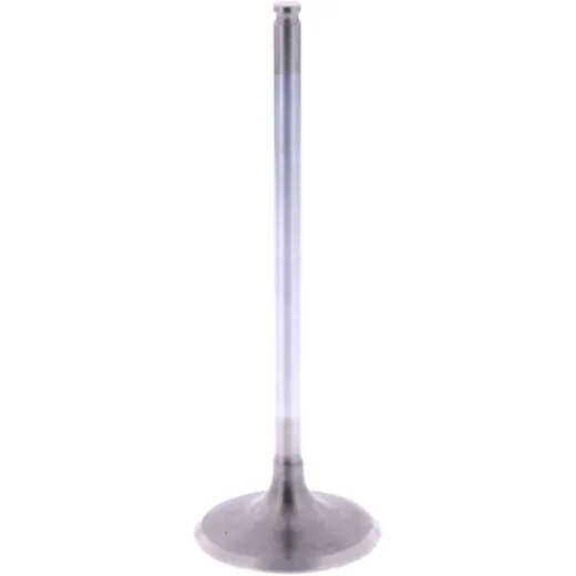 Intake valve (orig spare part) 1009543