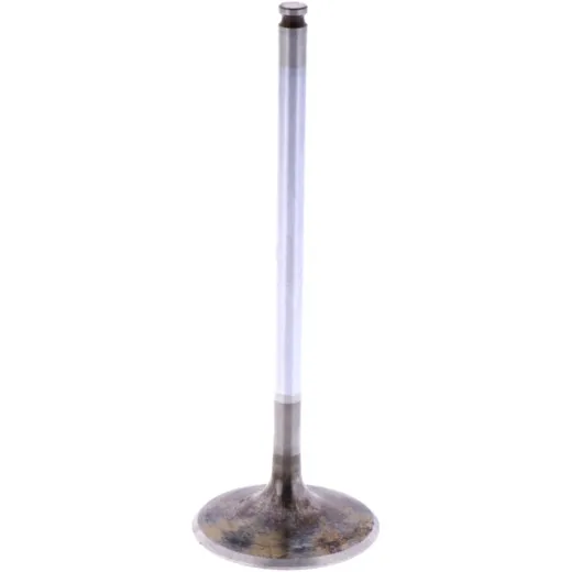 Intake valve (orig spare part) 1009544