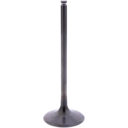 Intake valve (orig spare part) 1009546