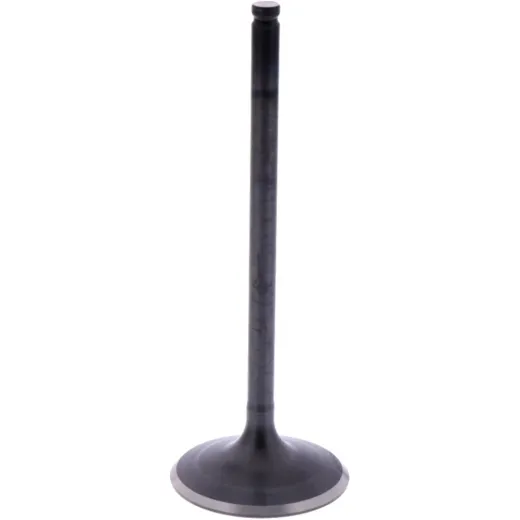 Intake valve (orig spare part) 1009570