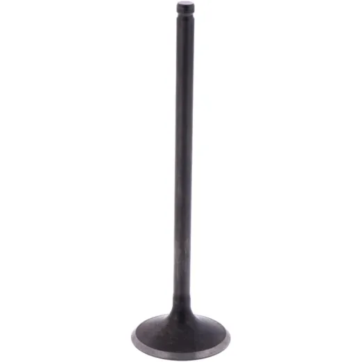 Intake valve (orig spare part) 1009571