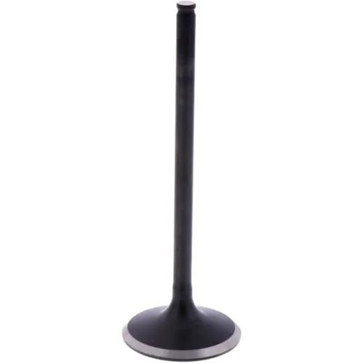 Intake valve (orig spare part) 1009578