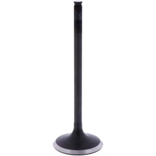 Intake valve (orig spare part) 1009579