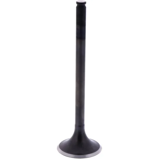 Intake valve (orig spare part) 1009583