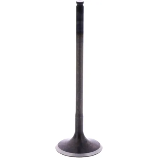 Intake valve (orig spare part) 1009584