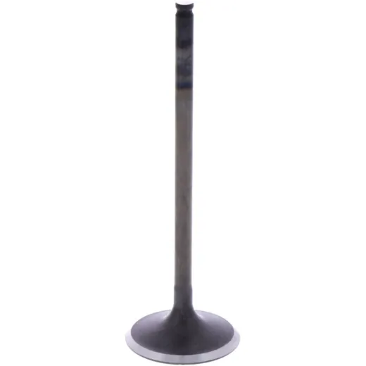 Intake valve (orig spare part) 1009587