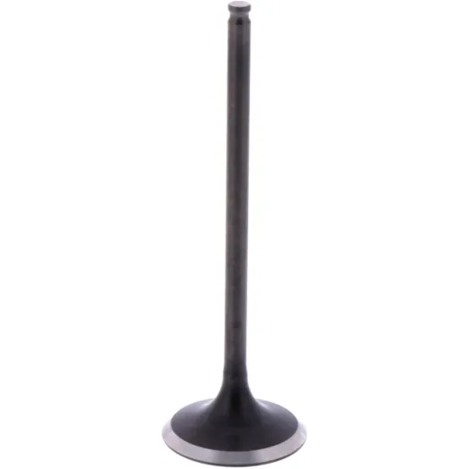 Intake valve (orig spare part) 1009588