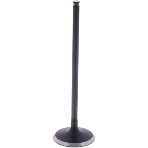 Intake valve (orig spare part) 1009589