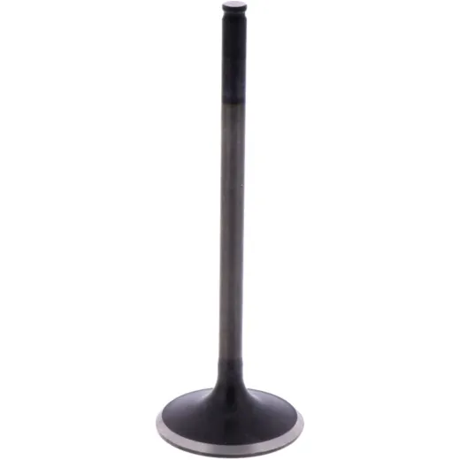 Intake valve (orig spare part) 1009590