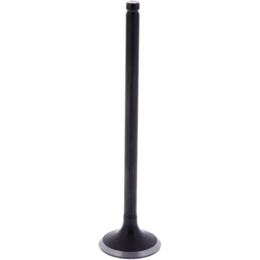 Intake valve (orig spare part) 1009592