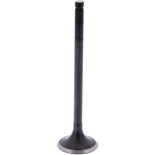 Intake valve (orig spare part) 1009593