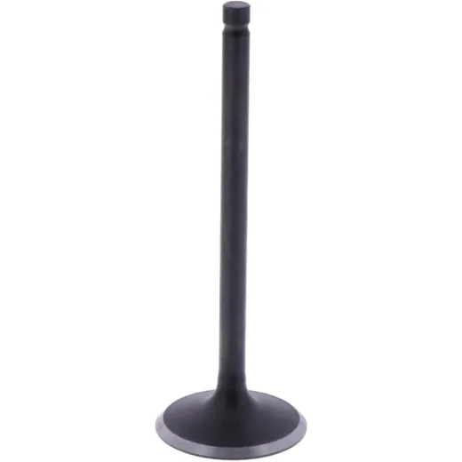 Intake valve (orig spare part) 1009596