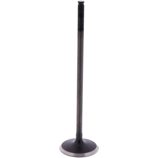 Intake valve (orig spare part) 1009597