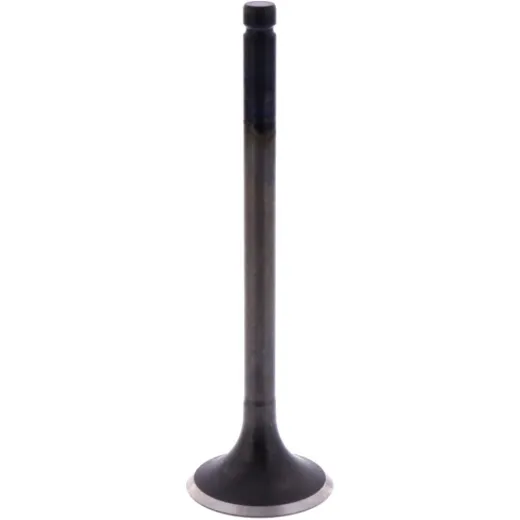 Intake valve (orig spare part) 1009599