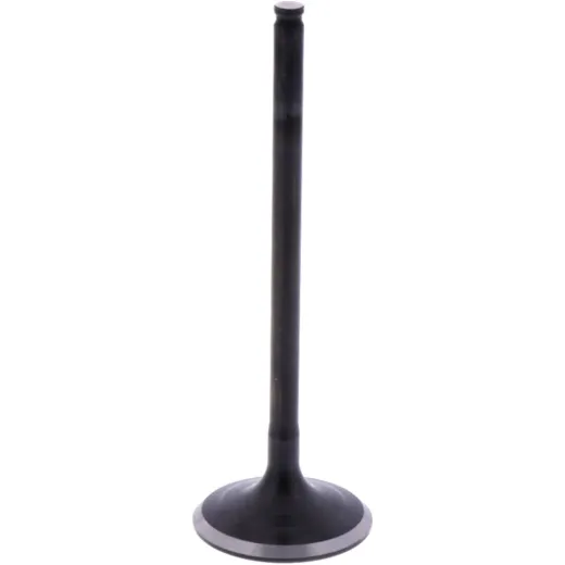 Intake valve (orig spare part) 1009602