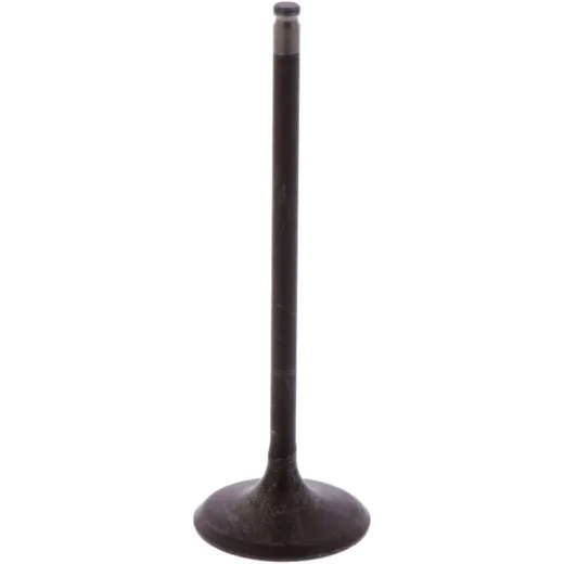 Intake valve (orig spare part) 1009604