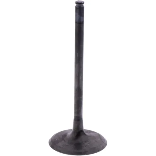 Intake valve (orig spare part) 1009752